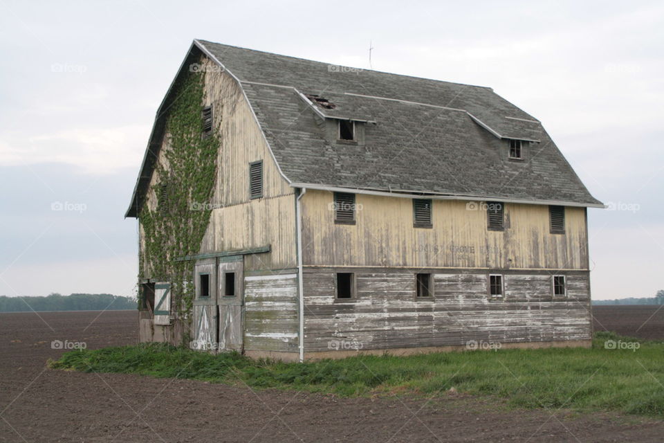 old yellow barn