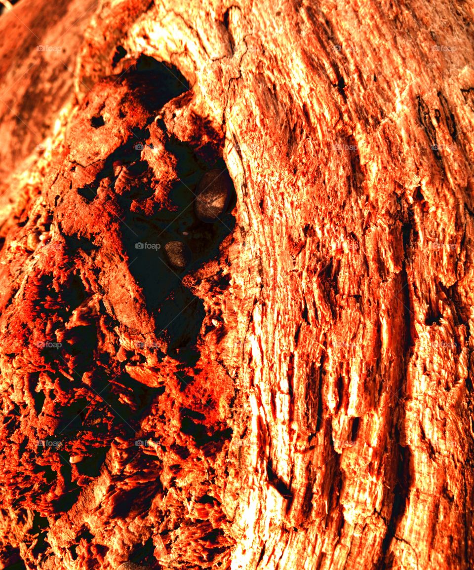 Texture tree