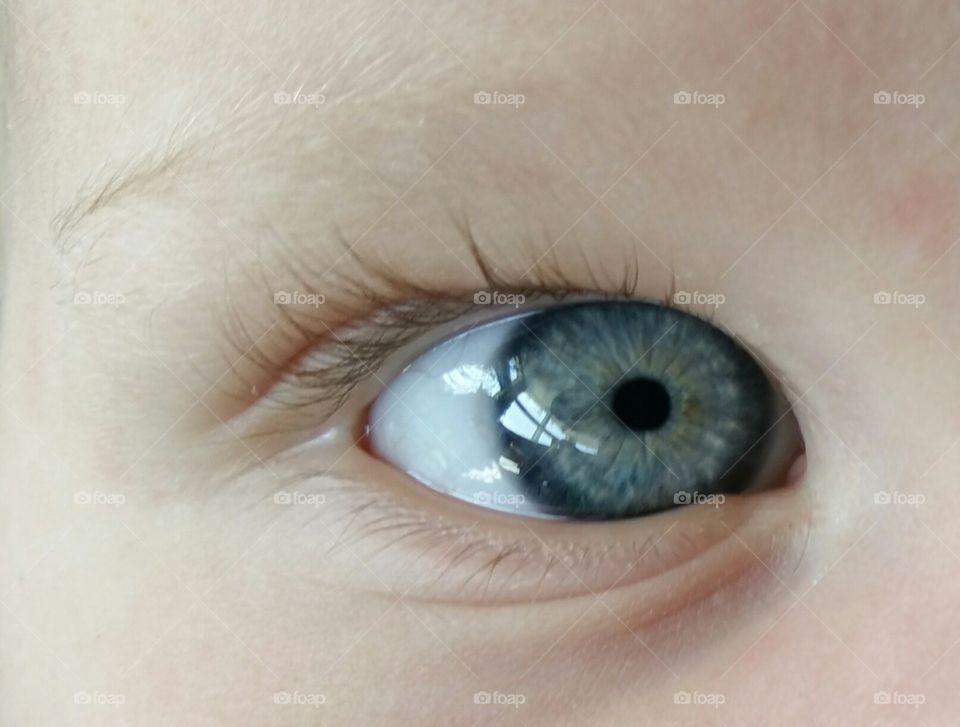 pretty eye of an infant