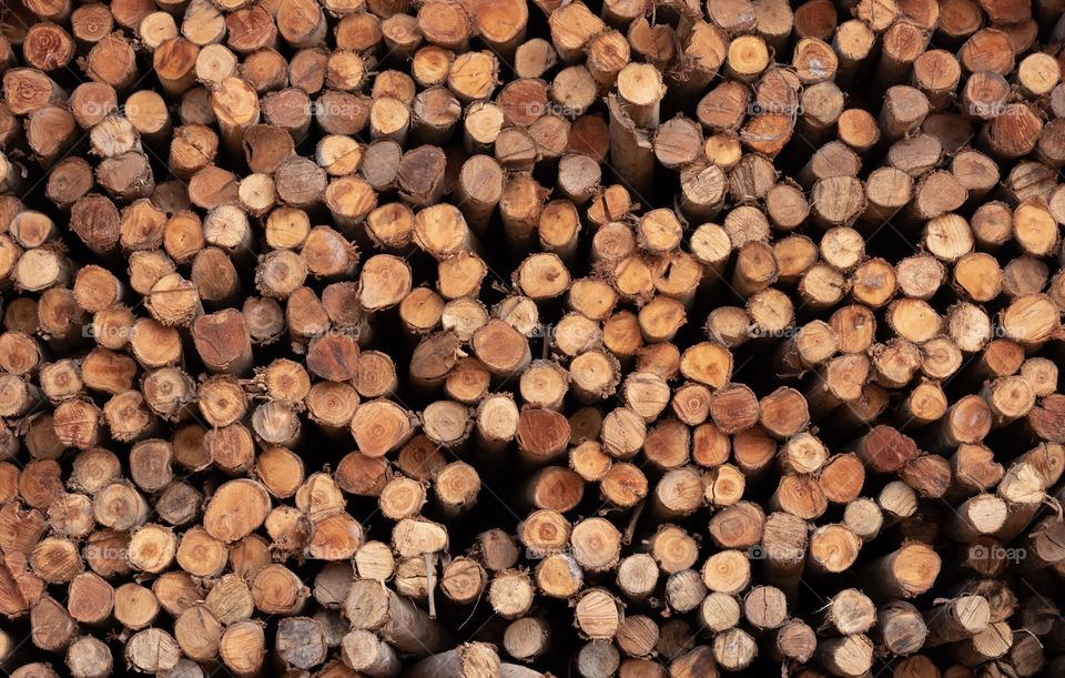 Cycle is alway the natural shape