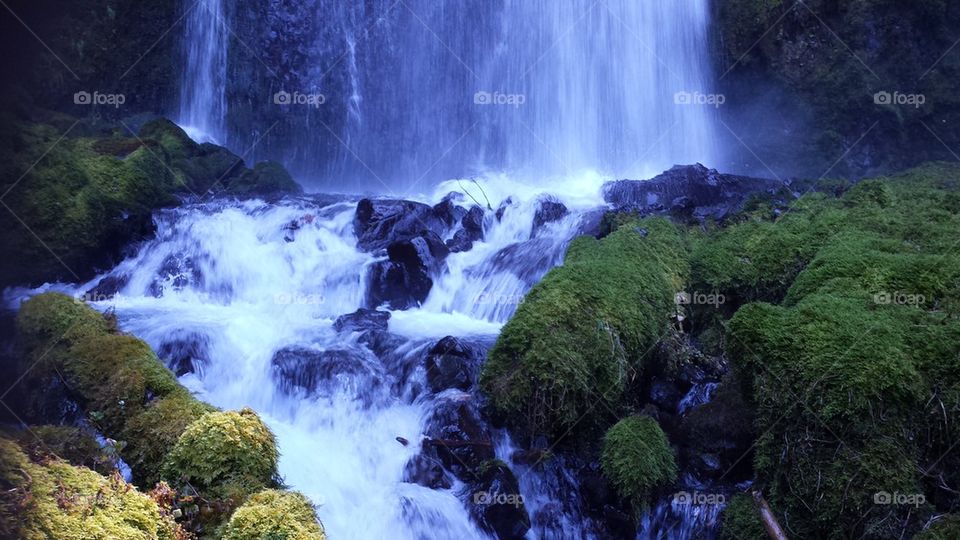 Scenic view of waterfall