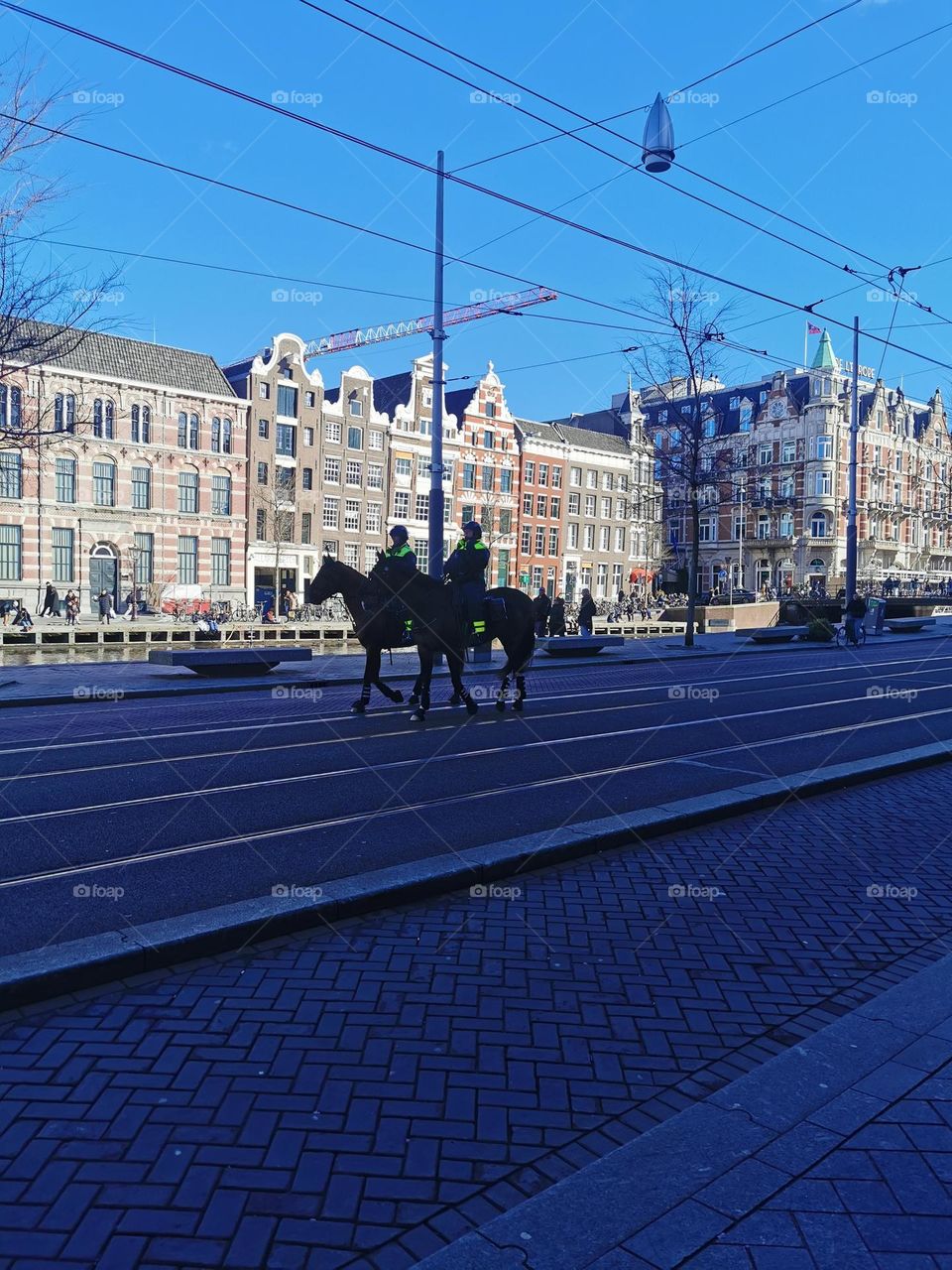 Police in Amsterdam