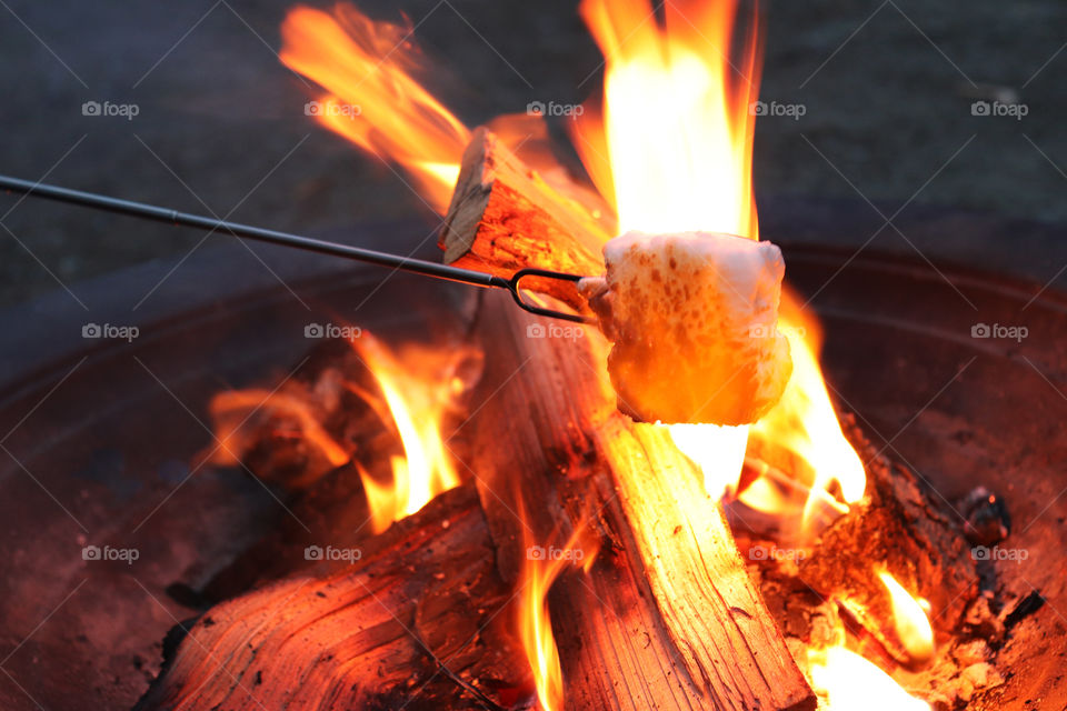 A campfire roasting a marshmallow