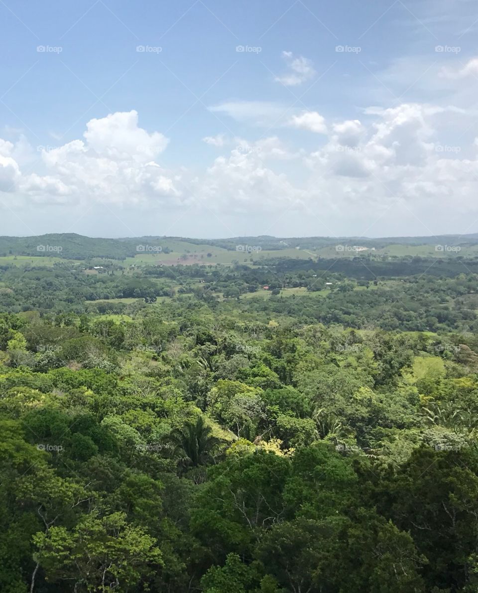 Belize countryside