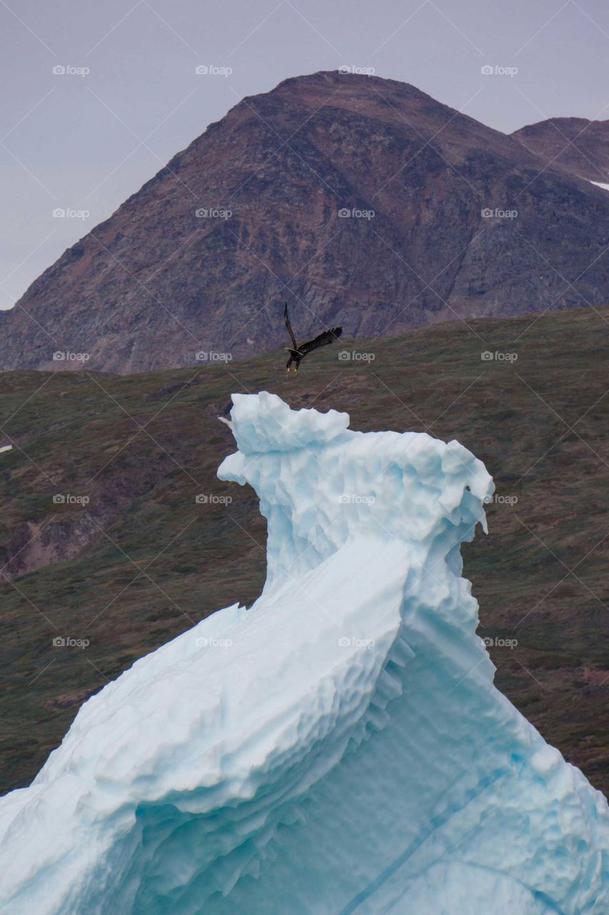 Snow, Mountain, Ice, No Person, Glacier