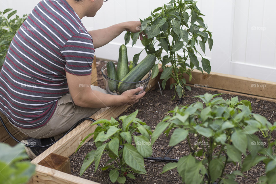 Checking my plants