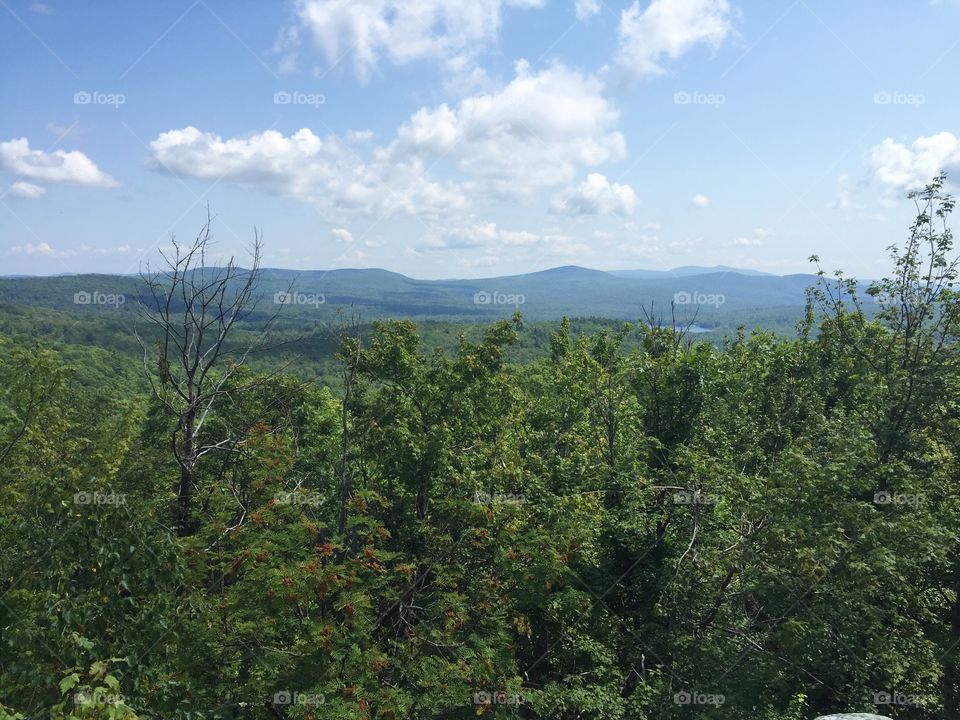 New Hampshire Landscape. Taken in Lime, NH