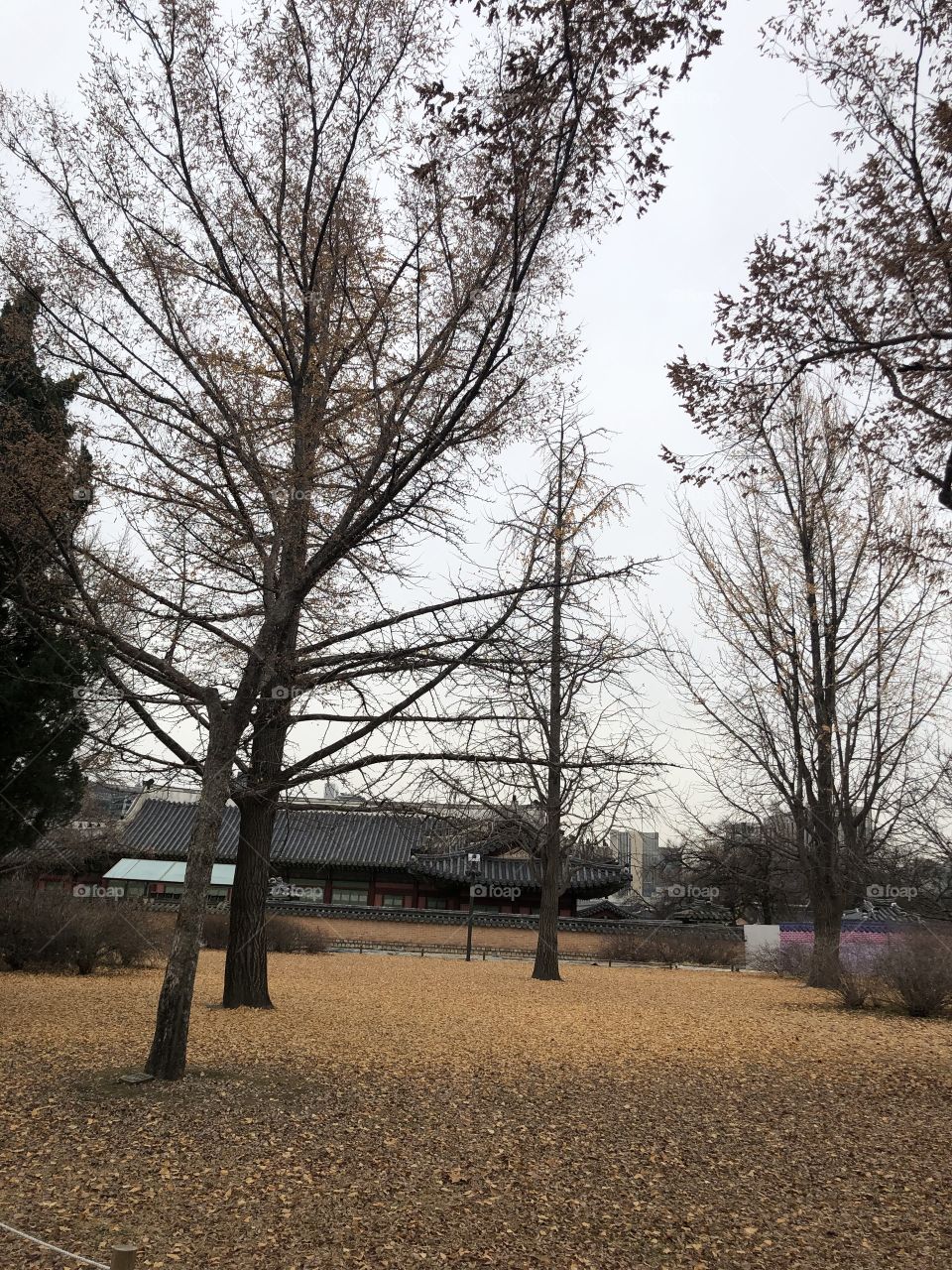 Autumn in Korea 2018