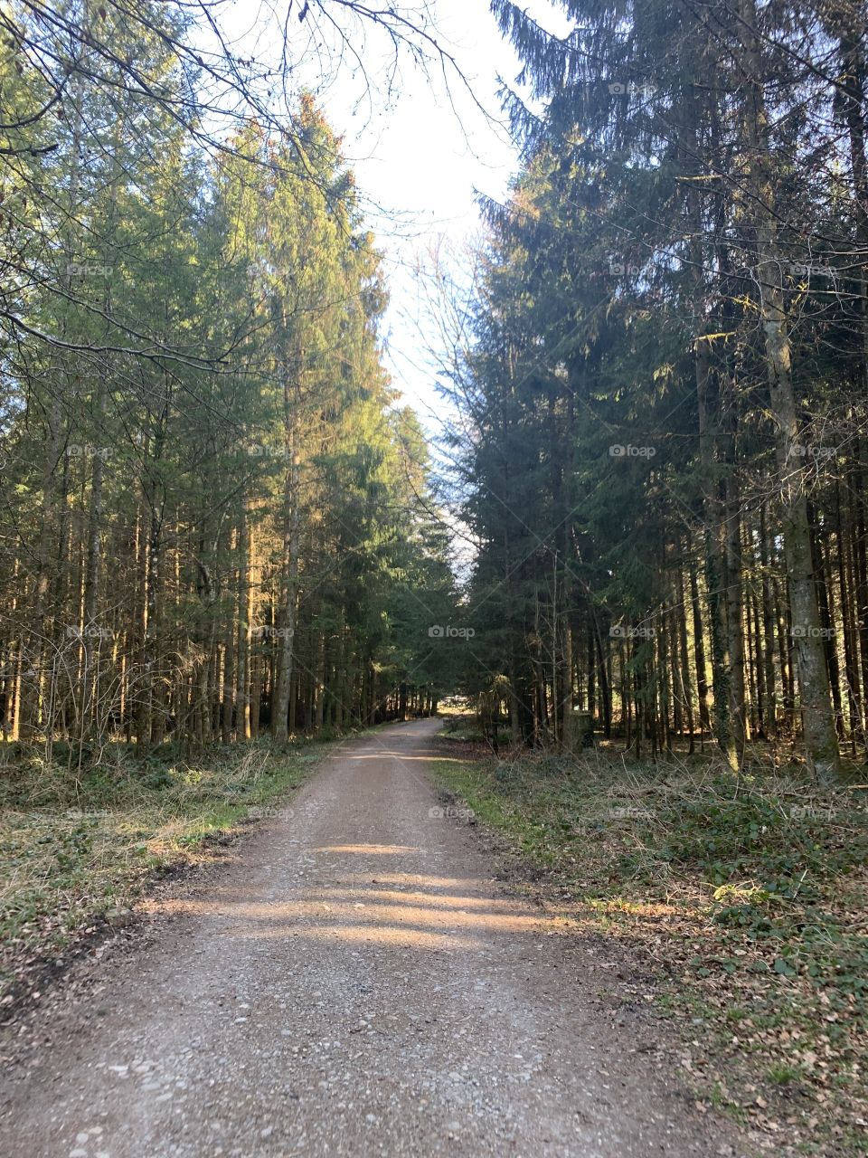 Village in Switzerland 