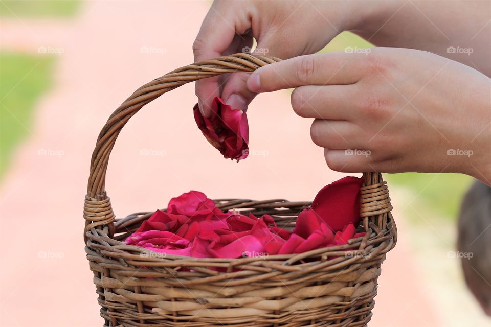 Roses won't die anymore