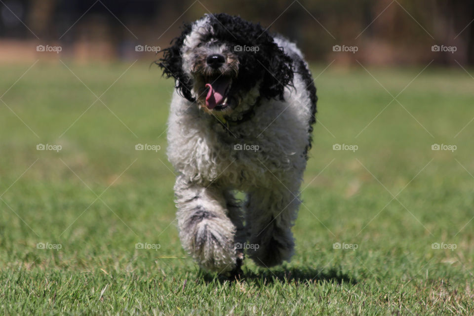 Going for a run down the park.