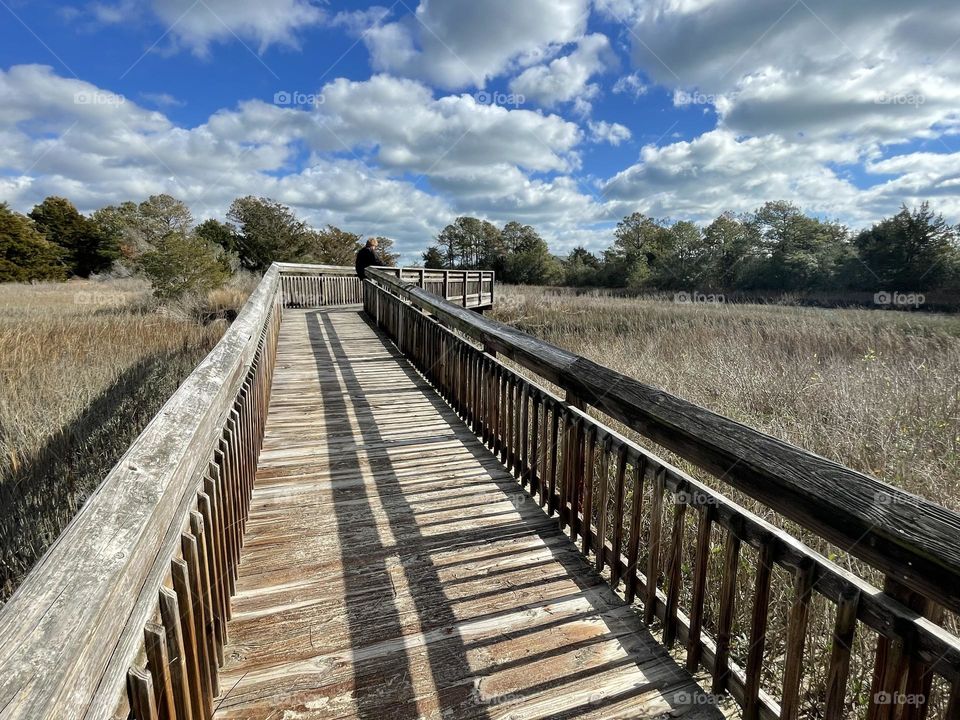 Marsh Walkway