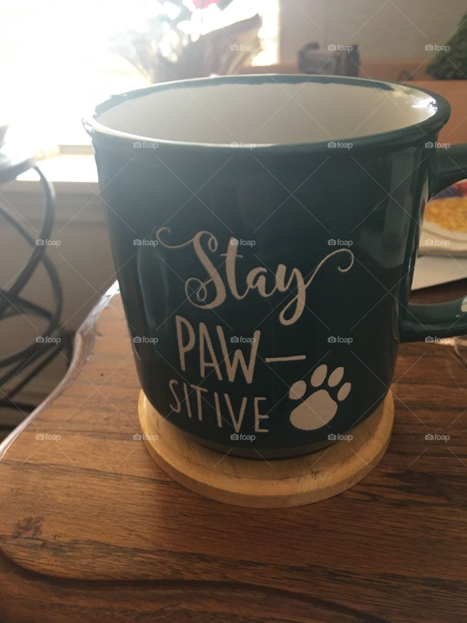 Went to the store to pick up a few dog and cat treats and found my new awesome coffee cup.