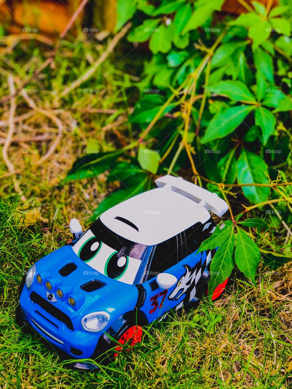 blue car