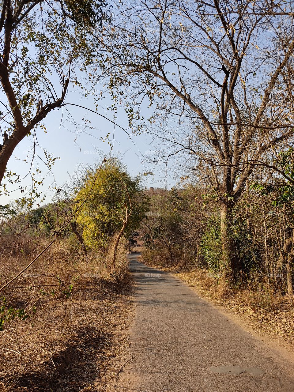 beautiful😍 👣🚲🏍🛺🚗🚜road