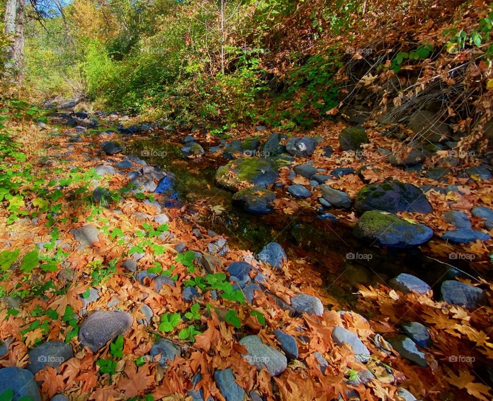 River Somewhere in Oregon