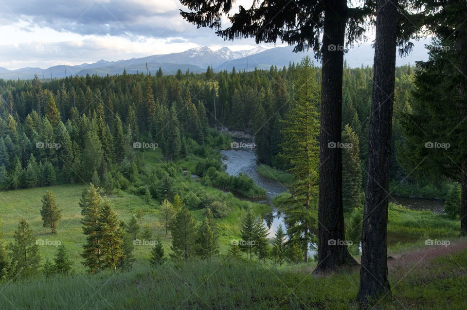 green the woods river by arizphotog