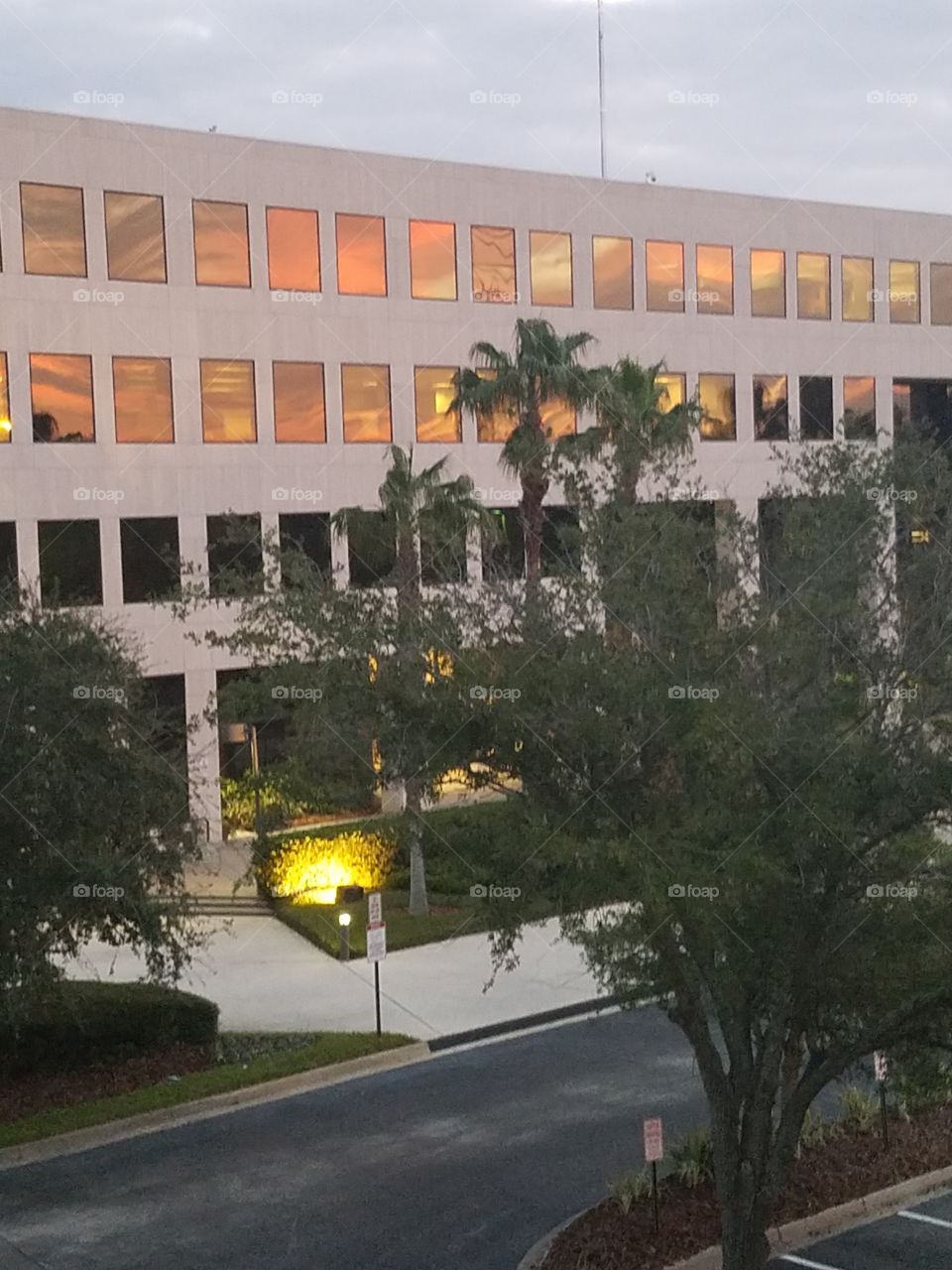 Office building in the morning