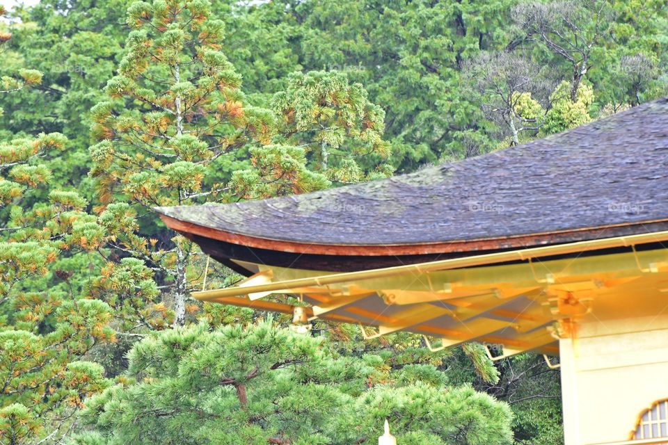 Golden temple