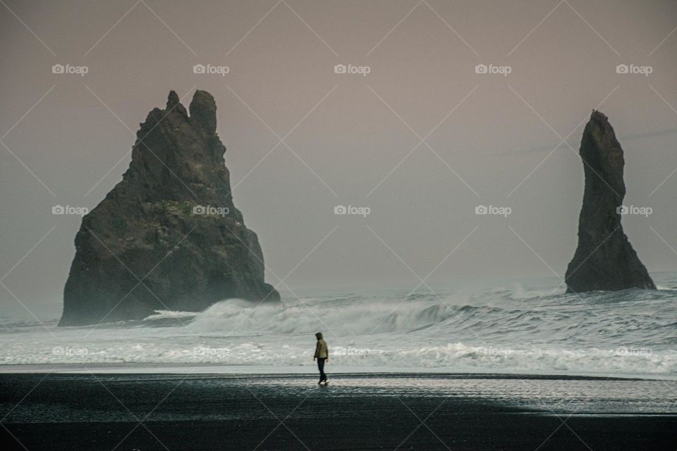 Beach in iceland at winter