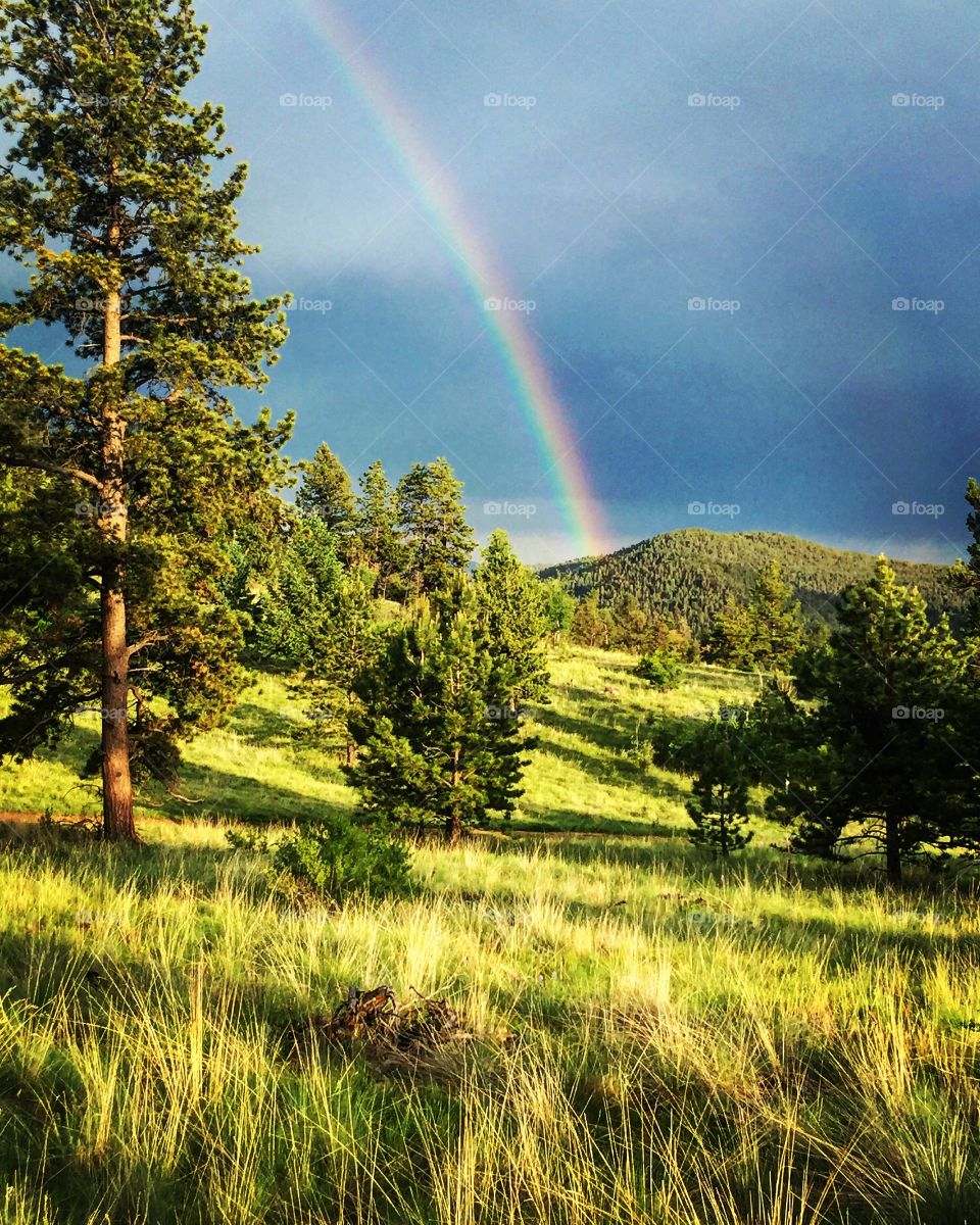 Rainbow Florissant, Colorado