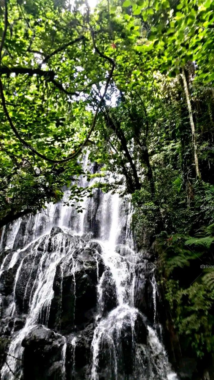 A most beautiful and attractive view of the waterfall.