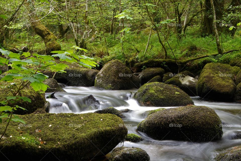 River Bovey