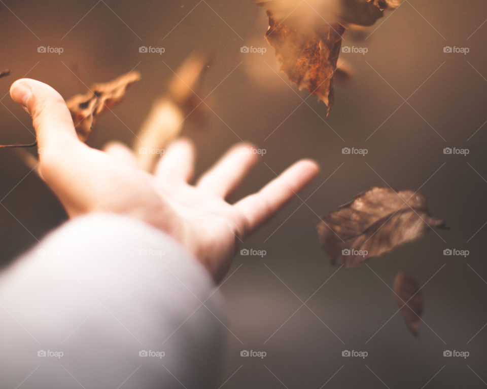 View of hand and autumn leaves falling