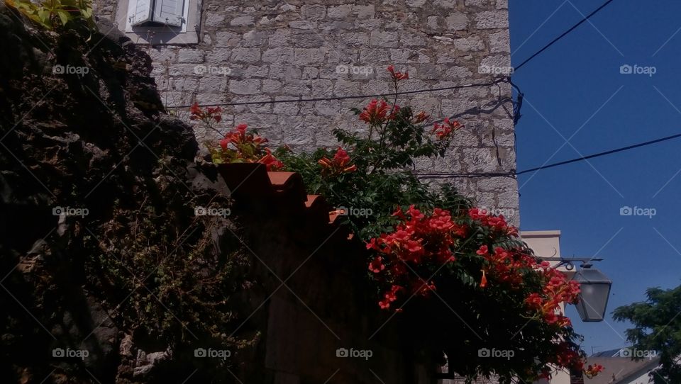 Old stone walls and beautiful flowers