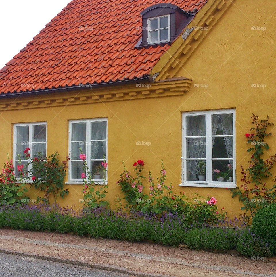 Windows on a yellow house. Windows on a yellow