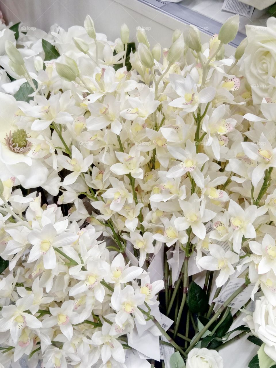 Flower, Bouquet, Nature, Flora, Petal