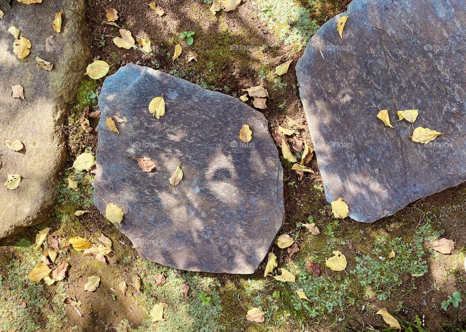 Stepping stone and fallen leaves