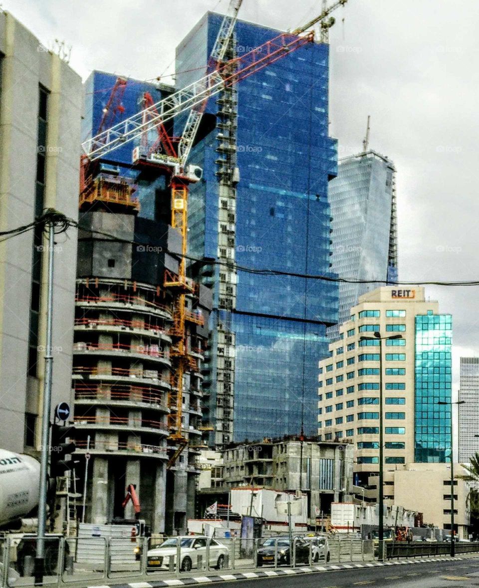 Grow upwards (Tel Aviv, March, 2018).