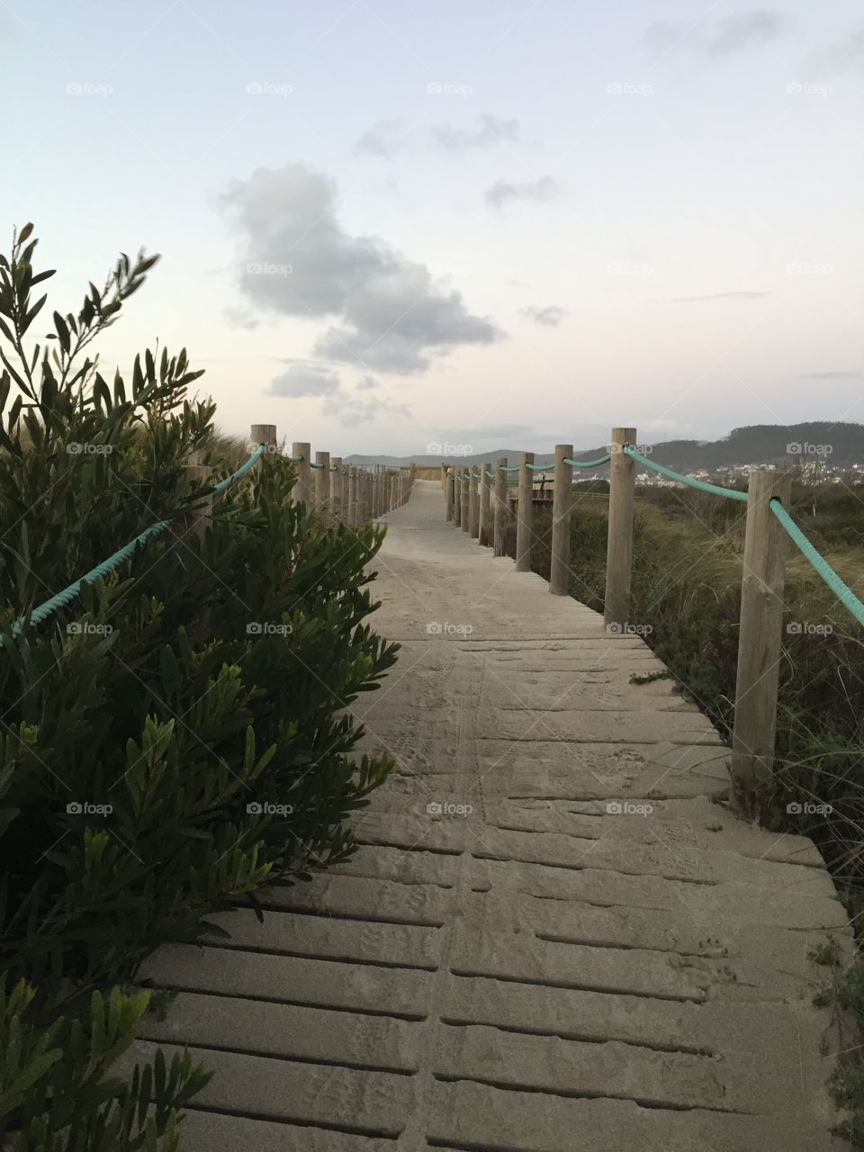 Beach pathway 