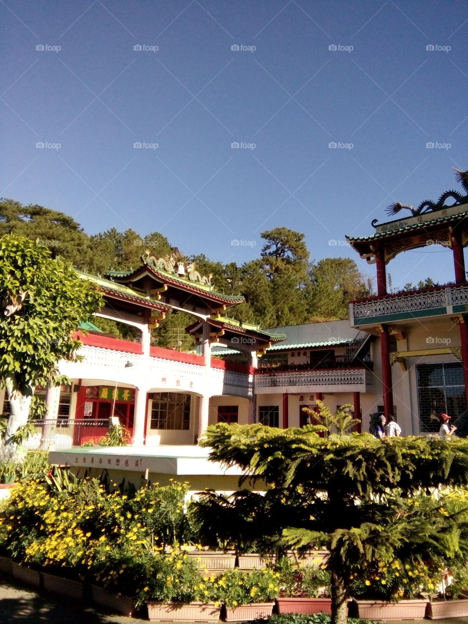Chinese Temple - Baguio City