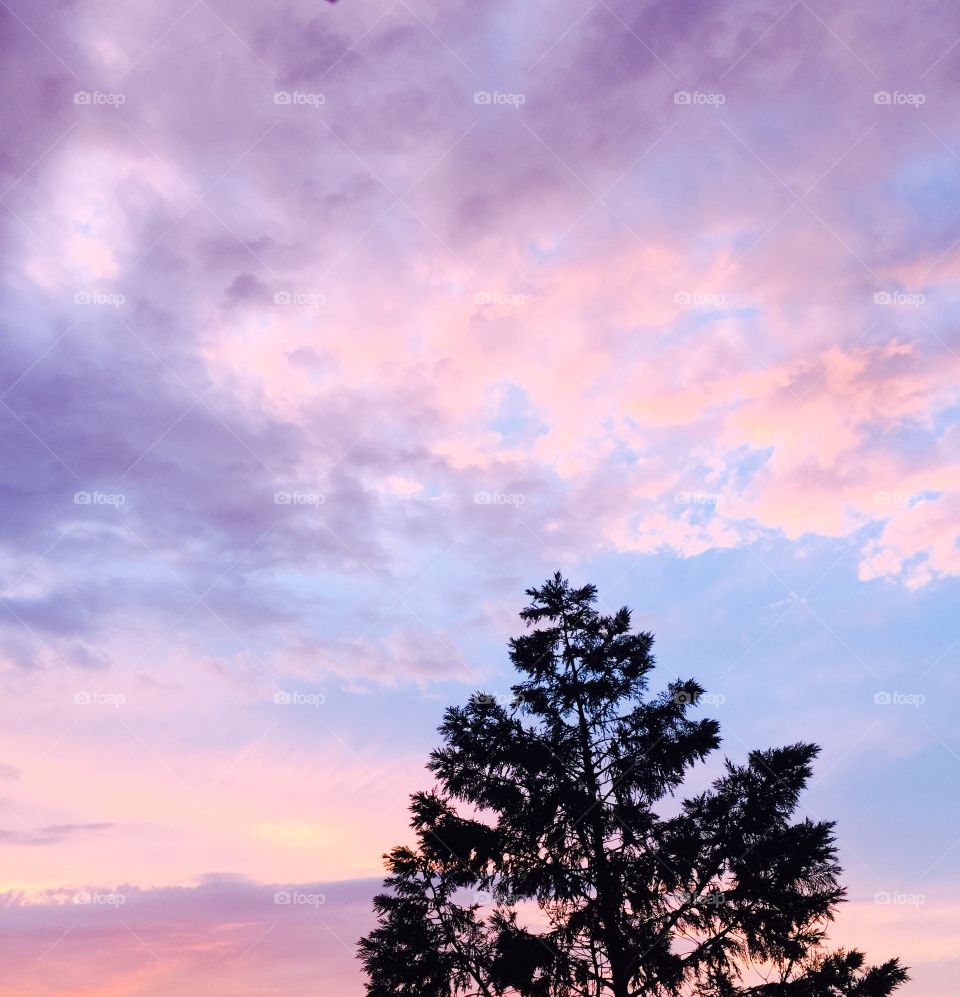 Spring Pastels . A beautiful bouquet of pastels from the sun setting sky.