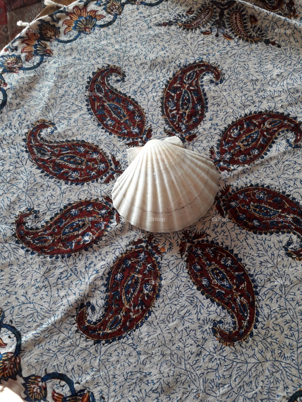 composition  of  cotton tablecloth with white  seashell