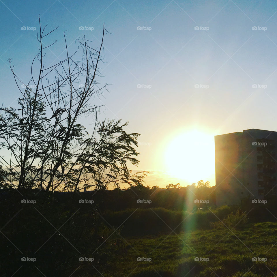 🌄🇺🇸 An extremely beautiful dawn in Jundiaí, interior of Brazil. Cheer the nature! / 🇧🇷 Um amanhecer extremamente bonito em Jundiaí, interior do Brasil. Viva a natureza! 