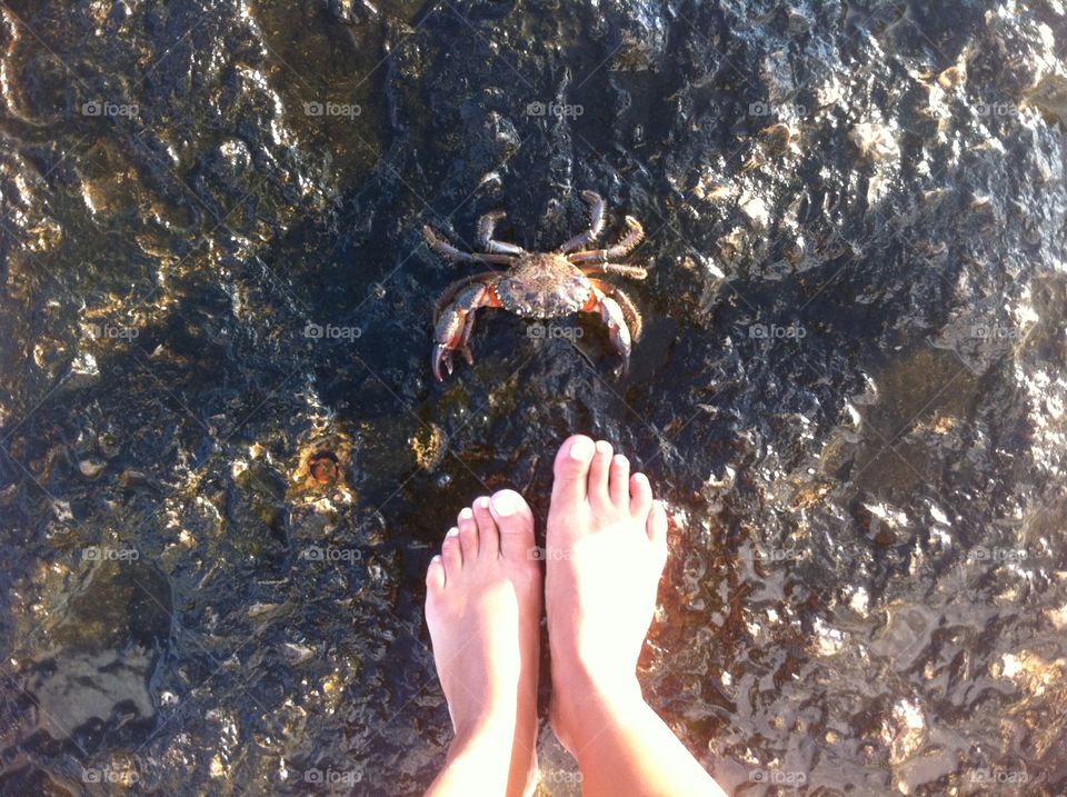 Crab at the feet 