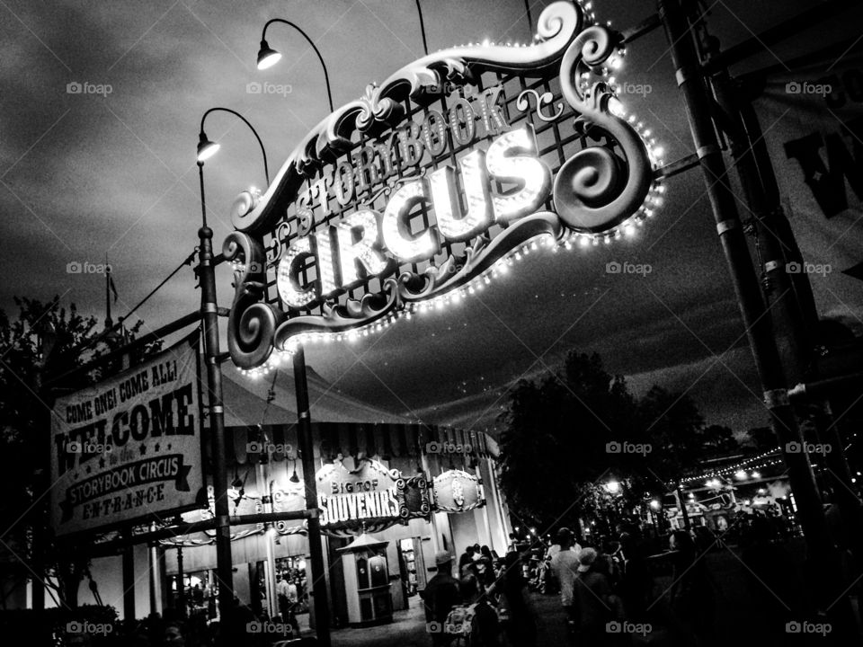 Dark Circus . When the sun goes down and the lights come on, something wicked this way comes. 
