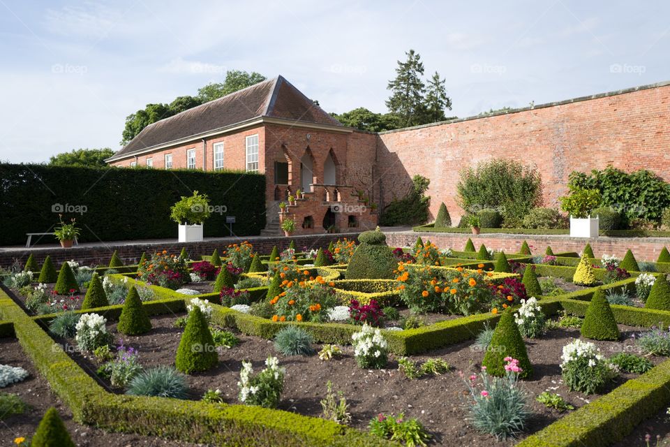 Garden, Flower, No Person, Architecture, House