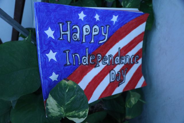 Values of freedom, democracy, and the pursuit of individual rights and liberties:Happy Independence day