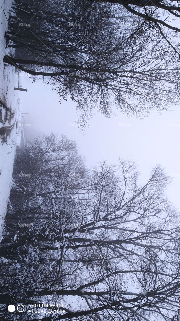 Magloviti zimski dan