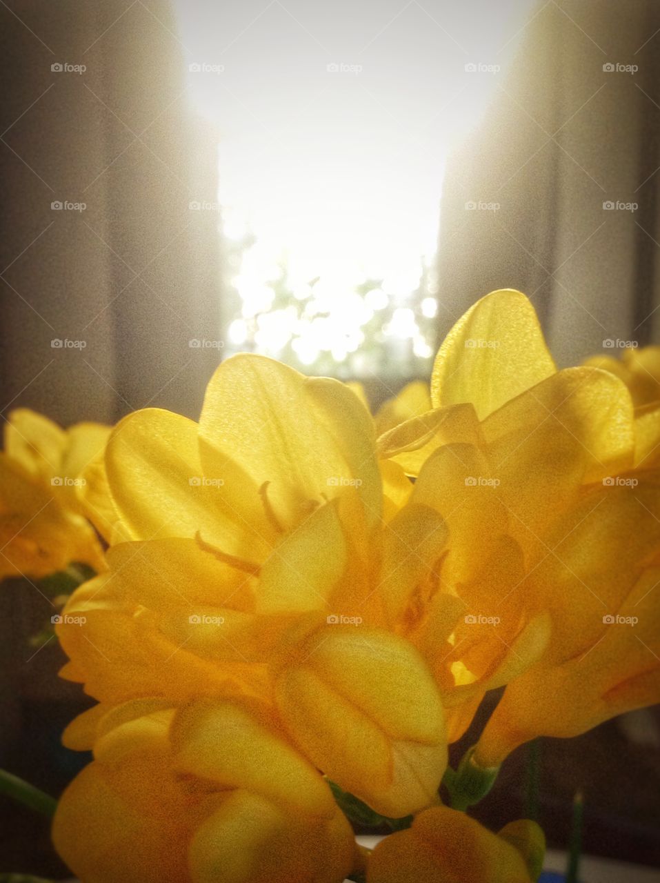 Good morning. A morning view with a nice cup of joe.