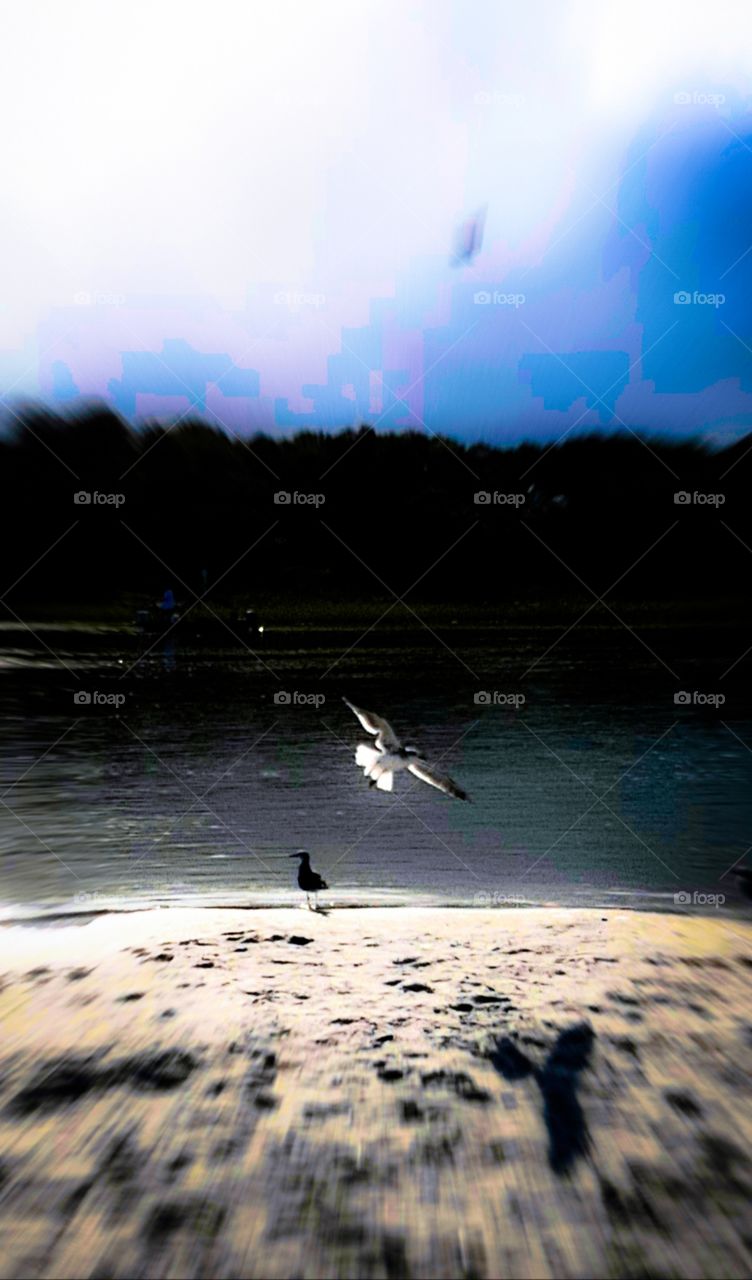 coming in for a landing