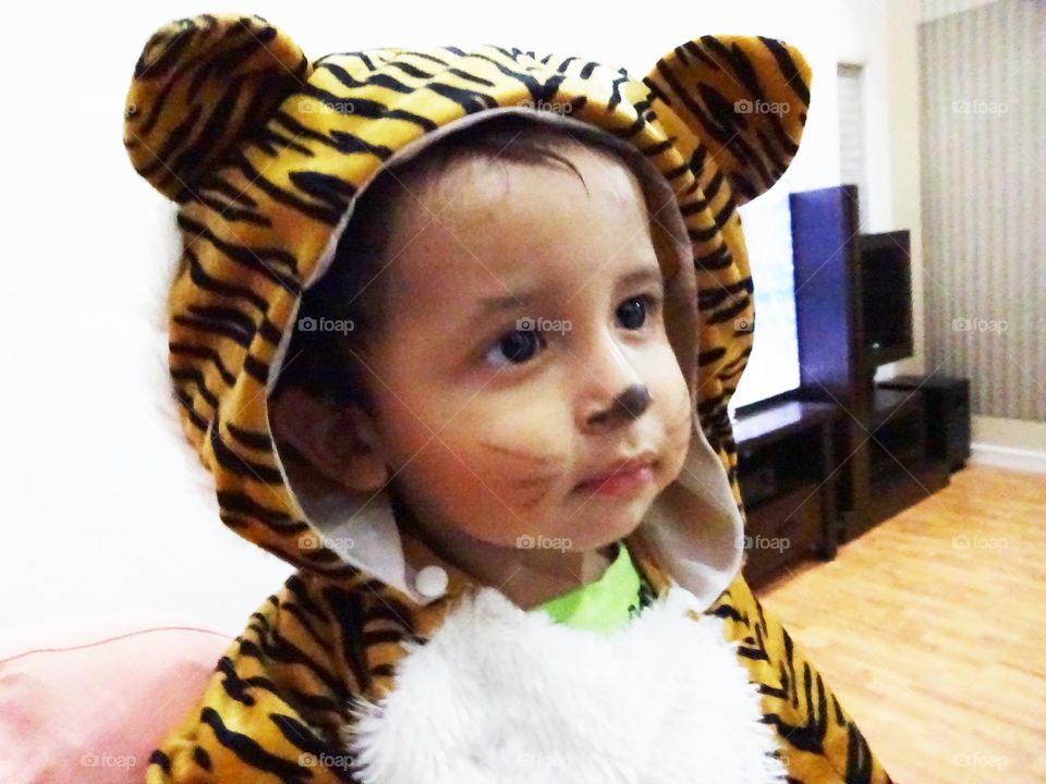 little tiger