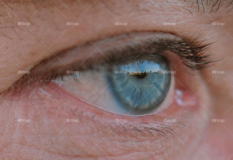 closeup of blue eye