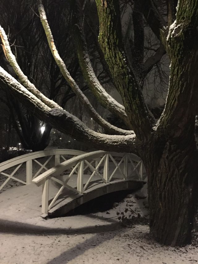 Night walk in the park in December