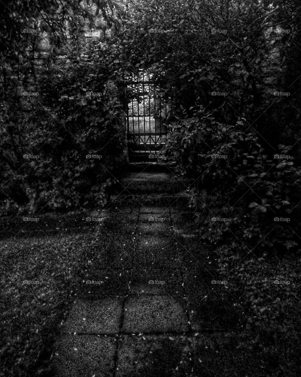 "The most colorful thing in the world is black and white, it contains all colors and at the same time excludes all."
~ Vikrmn, 10 Alone