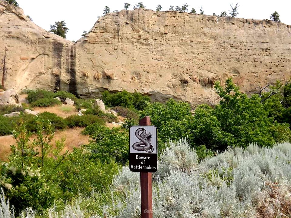 beware rattlesnake hiking trail